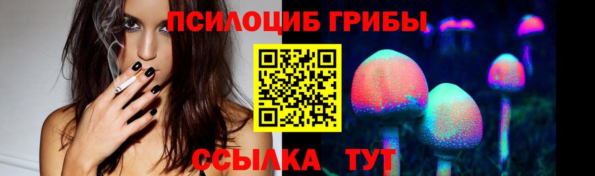 Галлюциногенные грибы Psilocybine cubensis  Вход с VPN  Тара 
