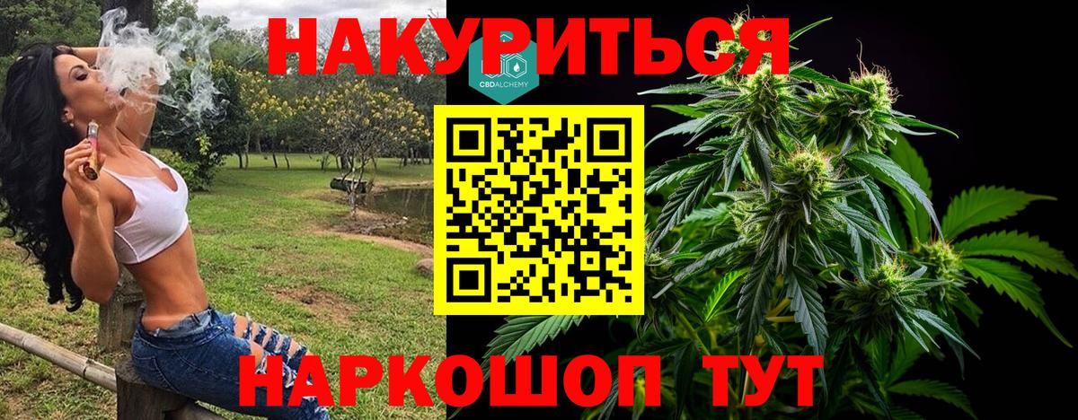 Шишки марихуана план Тара