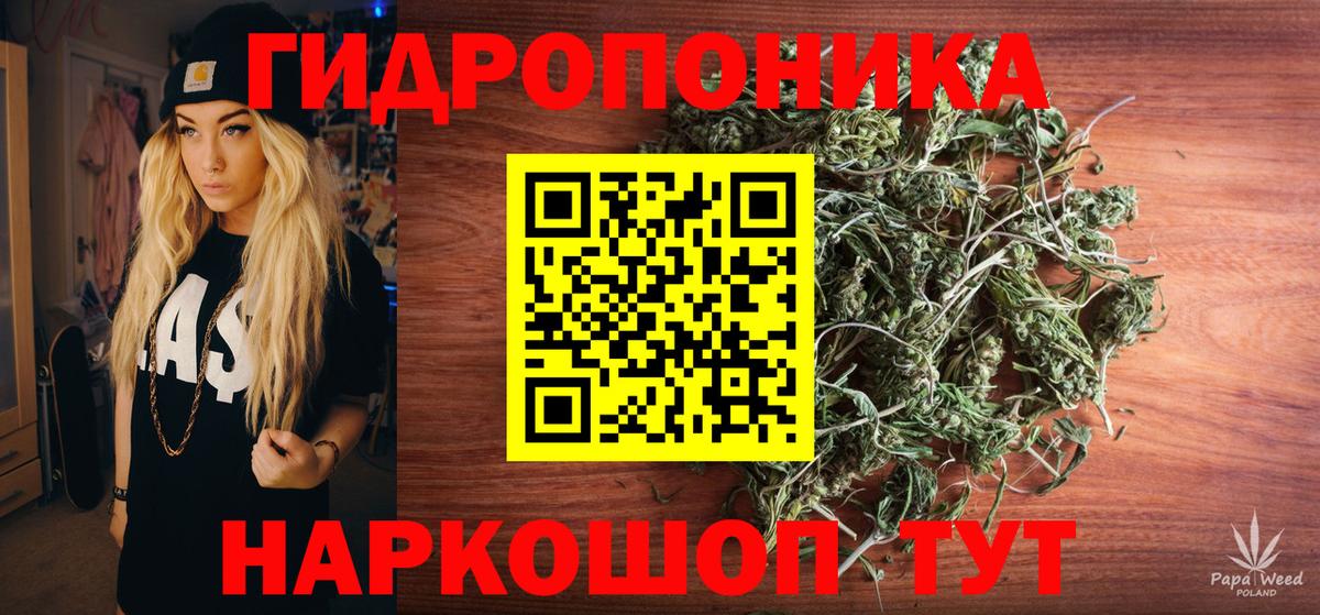 Шишки марихуана ГИДРОПОН  Вход с VPN  Канабис THC 21%  Тара  Бошки марихуана OG Kush  Бошки Шишки план 
